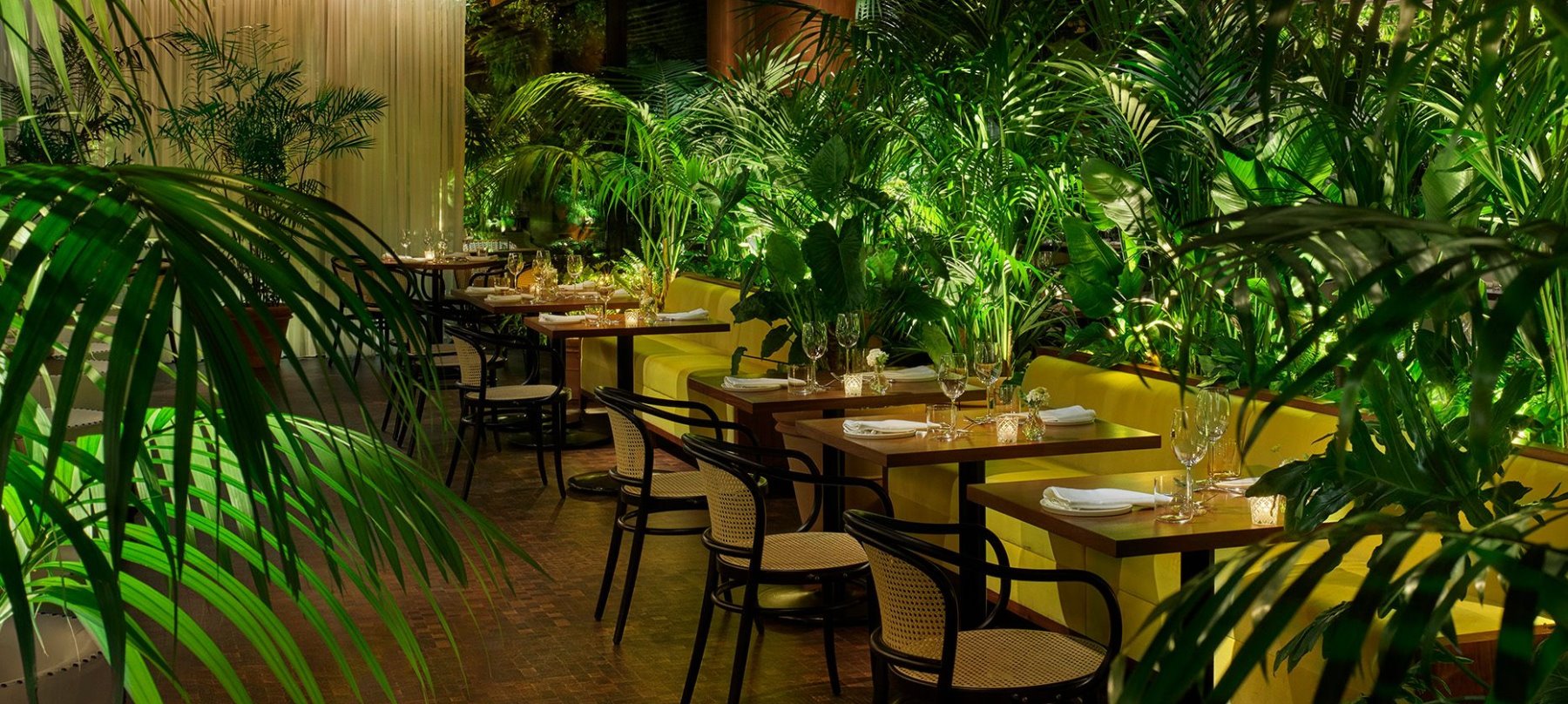 Ardor - Bar in West Hollywood